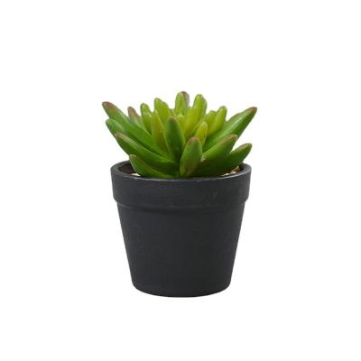 China High Quality Plastic Artificial Succulent Plants Decorative Fake Cacti Assorted Potted Succulents Potted Plants Fake With Pots for sale