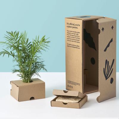 China Custom Printed Recyclable Live Plant Paper Corrugated Board Developed Shipping Box For Plant Packaging for sale