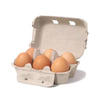 China Recyclable Customized Biodegradable Recycled Paper Packaging Pulp 6 / 12 Egg Boxes Tray for sale