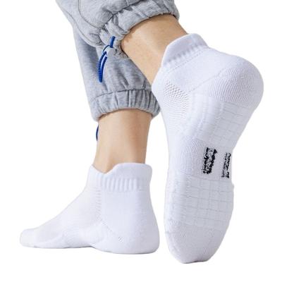 China QUICK DRY Top quality 90% combed cotton four seasons thickened towel bottom socks custom logo men's ankle terry socks for sale