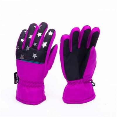 China Men Stable Quality Breathable Durable Warm Men Ski Gloves for sale