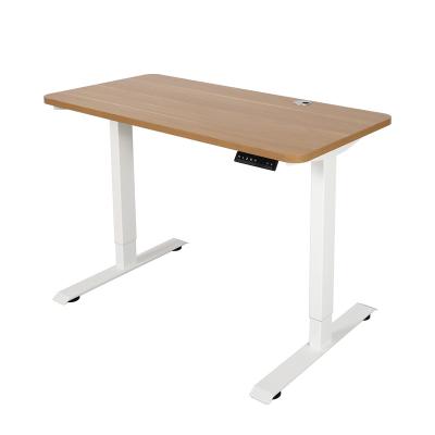 China (Size)High Quality Ergonomic Electric Adjustable Stainless Steel Desk Adjustable Freestanding Lifting Board for sale