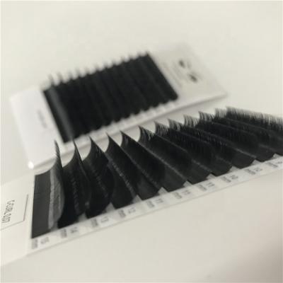 China Korean Volume Lash Extension Mix Trays Private Label PBT Full Volume Eyelash Extension Package for sale