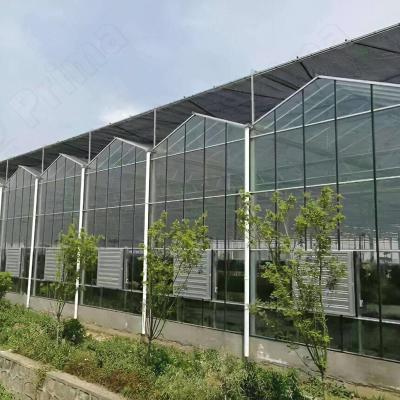 China Low Price Contemporary Commercial Polycarbonate Frame Outdoor Aluminum Sheet Garden Greenhouses for sale