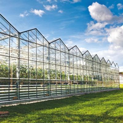 China Low price contemporary metal frame agricultural garden Polycarbonate aluminum greenhouse for sale