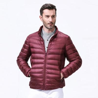 China Fashion Breathable High Quality Blue Black Gray Red Duck Light Weight Popular Down Jacket for sale