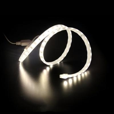 China Theme Park China Manufacturer Best Selling Silicone 12V 24V Silicone 12V 24V Ultra Thin High Lumen Ribbon Ultra Thin LED Strip For Hotel Home Light RGBW Sign for sale