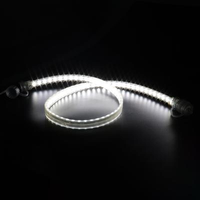 China Theme Park Double Rows Connectors AC 144LEDs 110V 220V Ultra Bright High Output SMD2835 Led Strip Flexible Strip Male And Female for sale