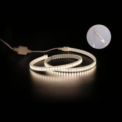 China Theme Park Plus Sell Ultra Bright SMD5050 White 3000K 4000K 6500K 24V 110V 220V Flex Tube Neon Products LED Strip Decoration for sale