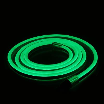 China 10x15mm LANDSCAPE Decoration IP68 Waterproof Flexible Led Neon Lamp Outdoor High Voltage Led Strip Neo Flex Lighting for sale