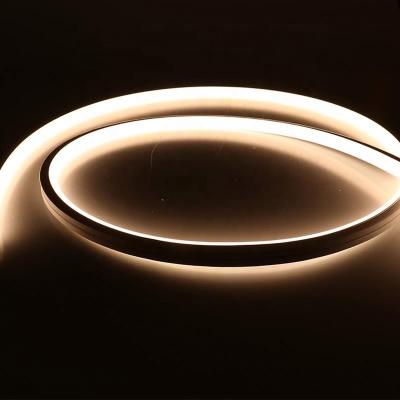 China Hot Sale 10x10mm Warm White 12V 24V LANDSCAPE Led Neon Flex Light for sale