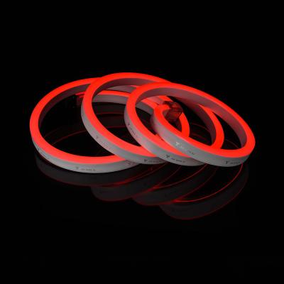 China Theme Park 10*20MM DMX/PWM Control RGB LED Rope Flexible Neon Strip Lights Flex Tube Neon Flex Signs 24V 110V 220V for sale