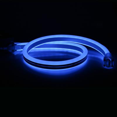 China Flexible LANDSCAPE 24V 120V 230V RGB 5050 Waterproof IP68 Dual Multi Sides 11x24mm Neon LED Rope Light Strip Duplex For Landscape for sale