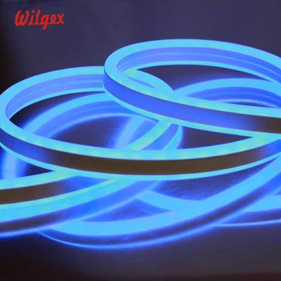 China Garden Flexible Led Strips Rope Light SMD5050 RGB 11x24mm Double Sides PWM DMX IP68 Building Decoration Outdoor Waterproof Strip for sale