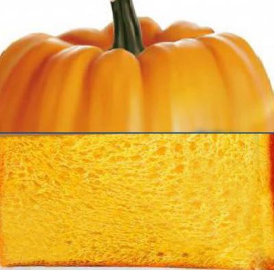 China Direct Wholesale Pumpkin Toast with Retail Bulk Package for sale