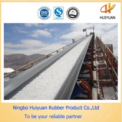 China Chemical Resistant Conveyor Belt for Conveying Salt (EP100-EP500) for sale