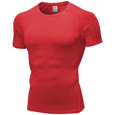 China Other Hot Sale Gym Wear Polyester Elastic Quick Drying Men's Running T-Shirt for sale