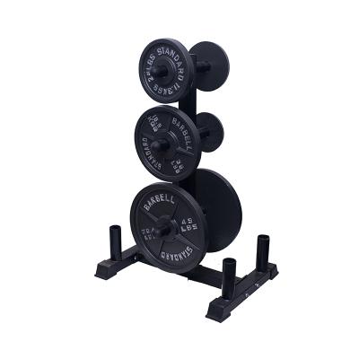 China Scratch Proof Hot Selling Black Can Be Customized Safe Metal Dumbbell Rack With Weights For Storage Fitness Equipment for sale