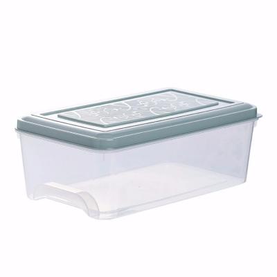 China High Quality Viable Refrigerator Storage Box Food Freezer Kitchen Plastic Egg Storage Box for sale