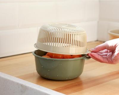 China Price Double Layer Fruit Vegetable Drying Storage Basket Viable Cheap Washing Drain Basket With Handle for sale