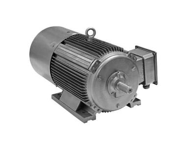 China IP55 ultrahoog rendement Elektrische Motor, YE4-Reeks 3 de Motor van de Faseinductie Te koop