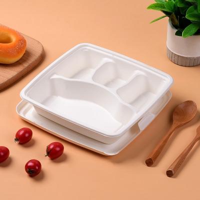 China Bagasse Disposable Lunch Box Lunch Box 4 Compartment Disposable Food Container Eco Takeout Box for sale