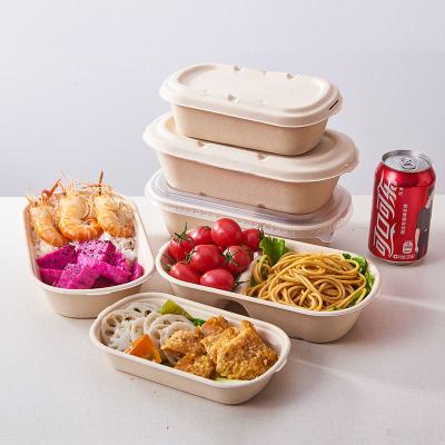 China Disposable Food Tray Container of Disposable Biodegradable Sugar Cane Bagasse for sale