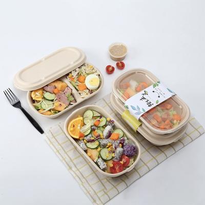 China Wholesale Disposable Bento Box Sugar Cane Pulp Food Container Disposable Lunch Box With Lid for sale