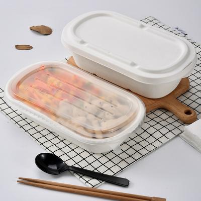 China Bagasse Disposable Multifunctional Disposable Lunch Box Container Food Package Take Out Box for sale