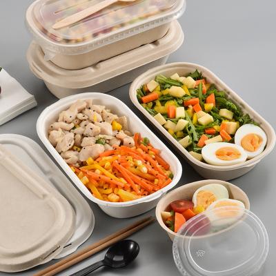 China Disposable Biodegradable Sugar Cane Food Containers Bento Custom Compartment Disposable Lunch Box for sale