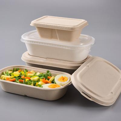 China Disposable Disposable Degradable Restaurant Doggie Bagasse Containers Food Take Out Box for sale