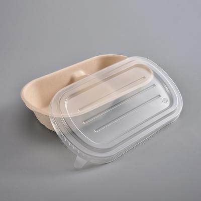 China Disposable Eco-Friendly Biodegradable Bagasse Food Container Doggie Box Take Away Packing Box for sale