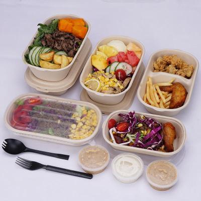 China Degradable/Disposable/Eco-friendly Bagasse Biodegradable Fast Food Shake Top Container For Restaurant for sale