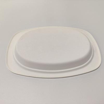 China Disposable 100% Biodegradable Sugar Cane Bagasse Lunch Food Tray Garcane Tableware Bagasse Dinner Takeout Dish For Party Camping for sale