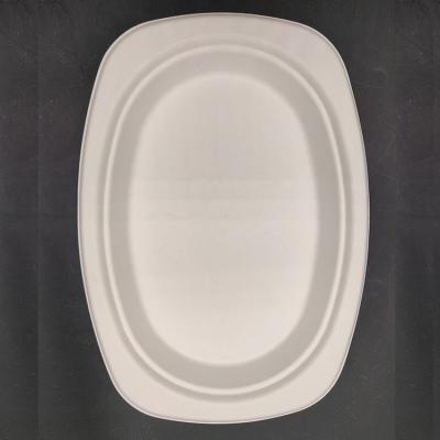 China Disposable High Quality Waterproof Disposable Dinner Dishes for sale