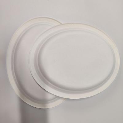 China Wholesale Disposable Biodegradable Sugar Cane Bowl Food Dishes Tray for sale