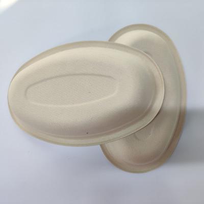 China Disposable Biodegradable Disposable Tableware Plates Oval Sugarcane Bagasse Trays for sale