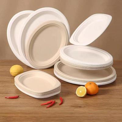 China Cheap Biodegradable China Manufacturer Disposable Disposable Dishes 10 Inches Oval Paper Plates for sale