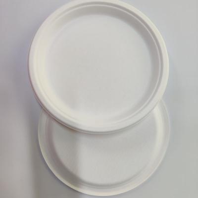 China Sugarcane bagasse disposable dish 6 inch 7 inch round dish for sale