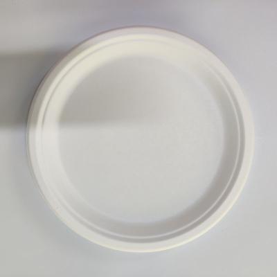 China Biodegradable Plates Around 100% Sugar Cane Fiber Plates Viable Natural Biodegradable for sale