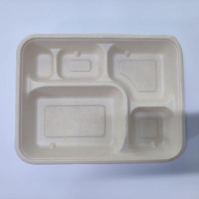 China 5 Compartment Disposable Food Pulp Dish Disposable Sugarcane Bagasse Bagasse Trays for sale