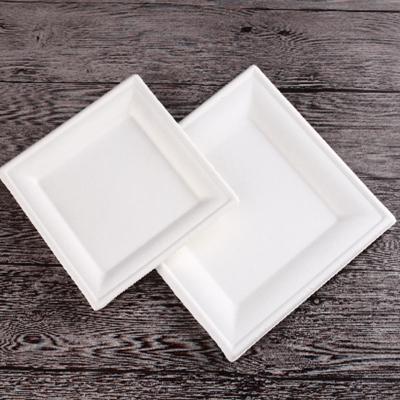 China Disposable Recyclable Sugarcane Pulp 5 Compartment Sugarcane Bagasse Tableware Food Trays for sale