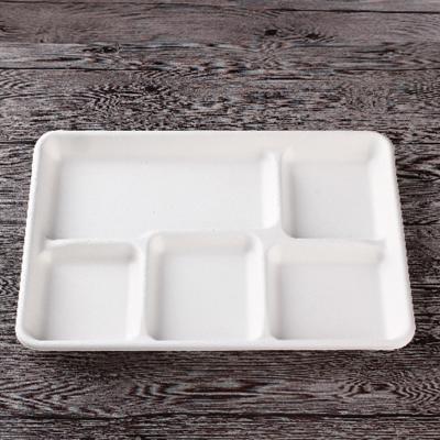 China Environmentally Friendly And Biodegradable Degradable Customized 5 Compartment / Disposable Dinner Bagasse Square Dish for sale