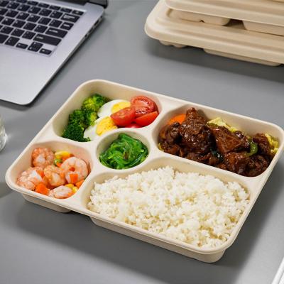 China Degradable/Disposable/Eco-friendly Biodegradable Disposable Food Container Sugarcane Bagasse Dishes for sale