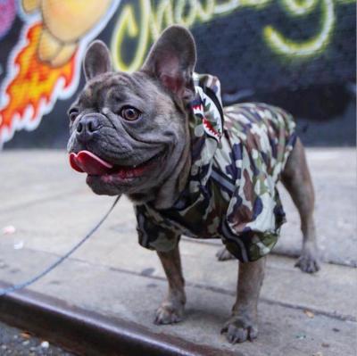 China Viable Camouflage Dog Clothes Jacket Raincoat Outwear For Small Medium Large Dog Winter Autumn Pet Clothes for sale