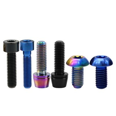 China TA1 TA2 TC4 Ti Titanium Flat Button Conical Socket Cap Hex Torx Screw for sale