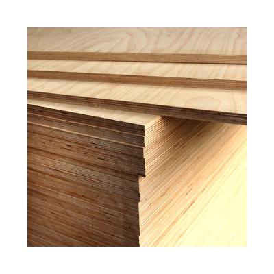 China 12mm15mm16mm Industrial Wholesale Custom Birch Plywood Box Furniture Plywood for sale