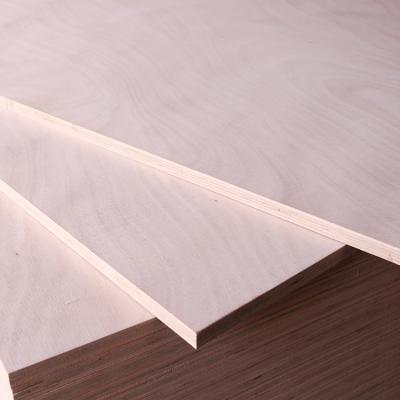 China Environmental Protection E0 Cabinet Board Industrial Plywood Paintless Multilayer Backboard Customization for sale