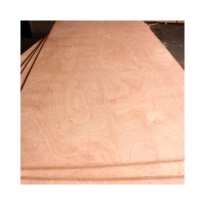 China Modern Special Hot Selling Red Eucalyptus Hardwood Face And Back Wrapping Plywood Indoor Use for sale