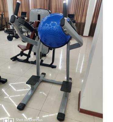 China New Arrival High Leg Steel Workout Machine Commercial 3mm Tube Fitness Equipment Leg Raise For Sale for sale